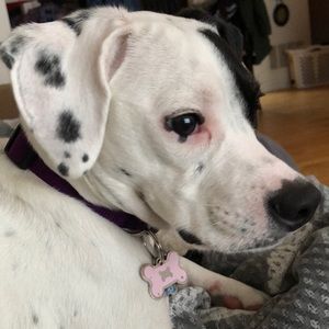 Meet your Posher, Jamie